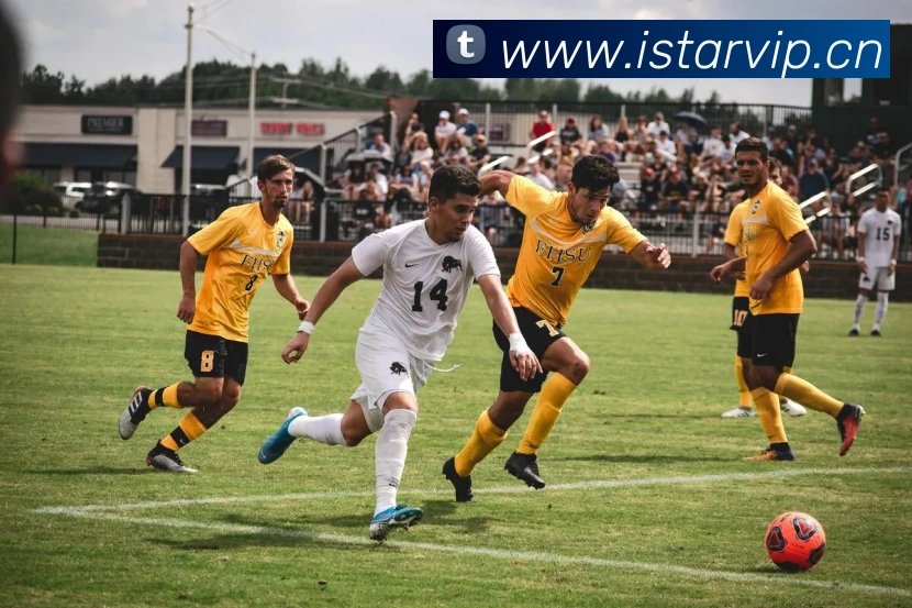 leyu网页版发展历程